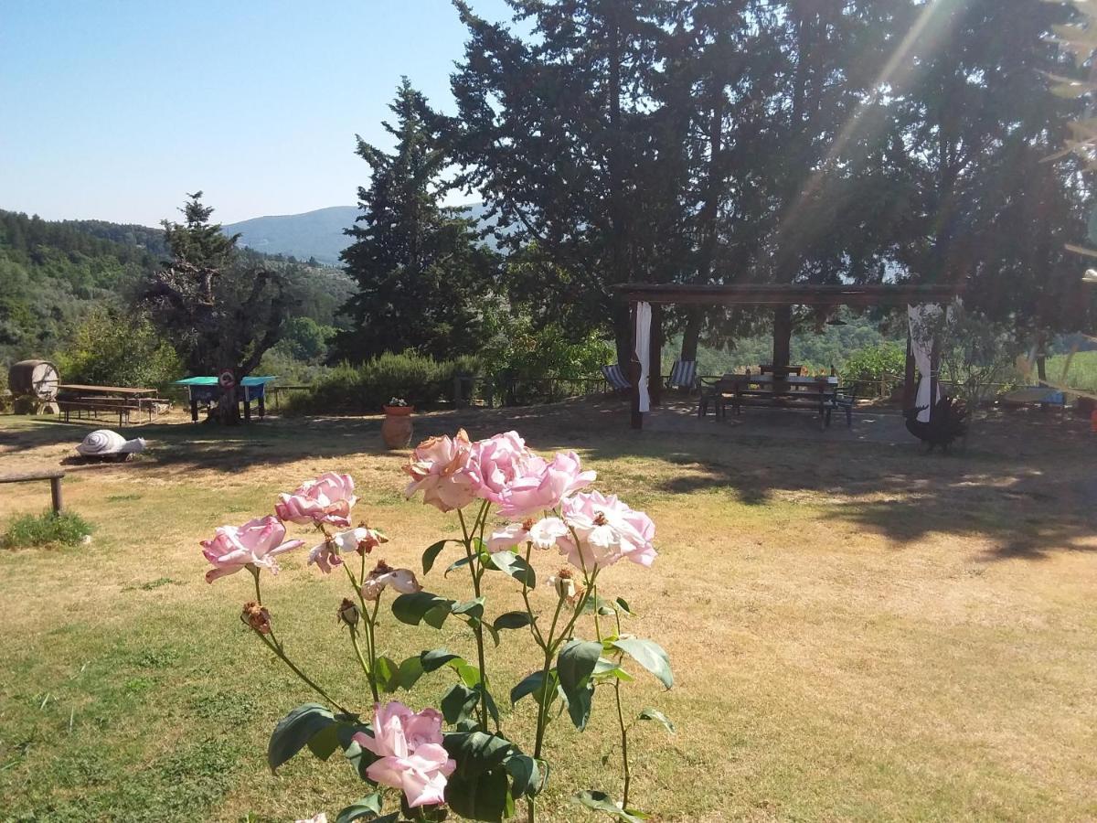 Agriturismo Podere Somigli Di Lorenzo Correani Hotel Greve in Chianti Exterior photo